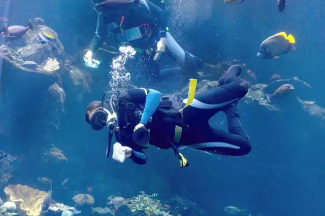 峰飞2吨级eVTOL完成海拔3000米高高原符合性试飞